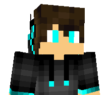 The_Sh1n1gam1's skin