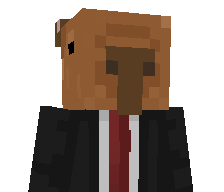 Ninj_Bot's skin