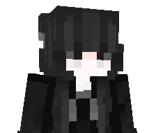 accelers's skin