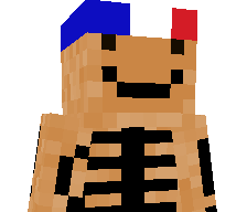 usul_fr's skin