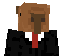 Zer0Requi3m's skin