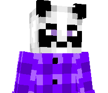 PandaMCCraft's skin