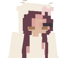 pvddinq's skin