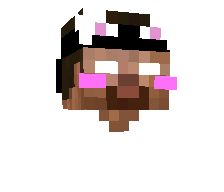 theflyingwater's skin