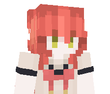 D1STIE's skin