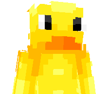 SimPlayyt's skin