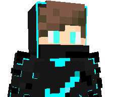 NinjaStripes665's skin