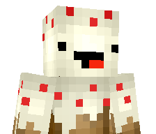 CakePlayzz11's skin