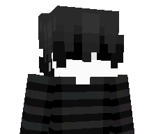 NotVexor_'s skin