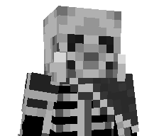 go_gamer's skin