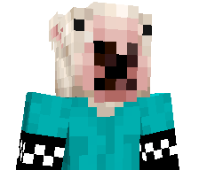 zTortas's skin