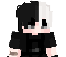 Numxber's skin
