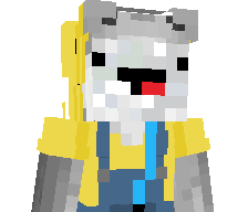 Racc00ns_'s skin