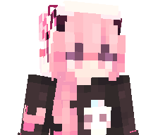 xbulletxstormx's skin