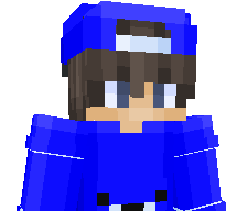 doublecraft69's skin