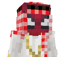 Biryani_Bomber's skin