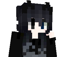 JY301's skin