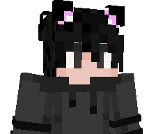 SokowyBrisket's skin