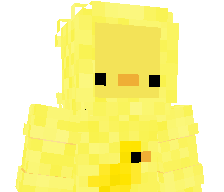DuckyTim's skin