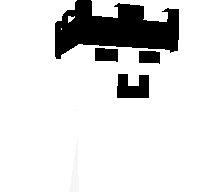 ochechul's skin