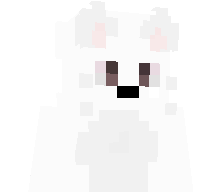 NoNotess's skin