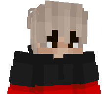 WichtigerNico's skin