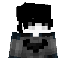 206x's skin