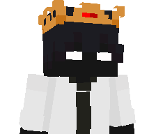 N3DZIN's skin