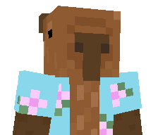 Aymric's skin