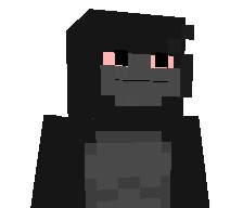 Project_HT11's skin