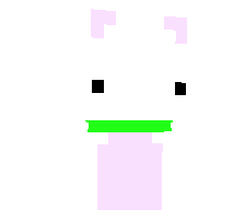 Vikinpvp_'s skin