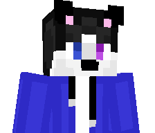 catman0221's skin