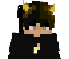 GalN4P's skin