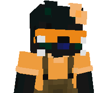 795x's skin