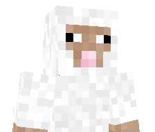 GamerDudeDots's skin
