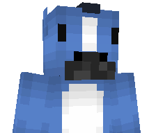 NinjaSamm's skin