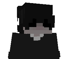 insaneguybruh's skin
