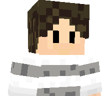 DarkP0G's skin
