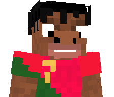 Noobsareverycool's skin