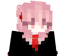 IEC61508's skin