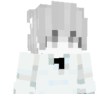 Ni3lz's skin