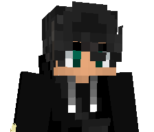 Z_zori_I's skin