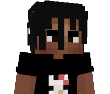 zwqr's skin
