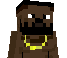 Turtok200's skin