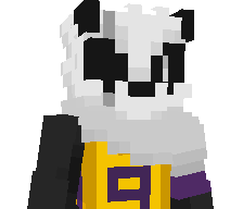 ToggleHacks's skin
