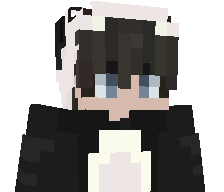 StreetNinjaPappy's skin