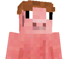 rxnks1's skin