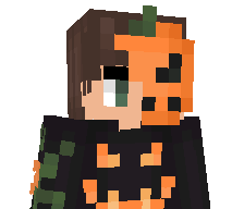PE_noel's skin