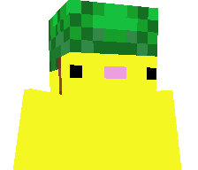 juujaa1's skin
