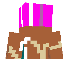 viceinsa's skin